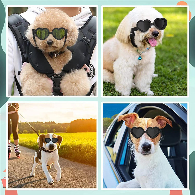 1 PC Heart-shaped Small Dog Su - مراجعة Sunglass Retainer Cord وسعره