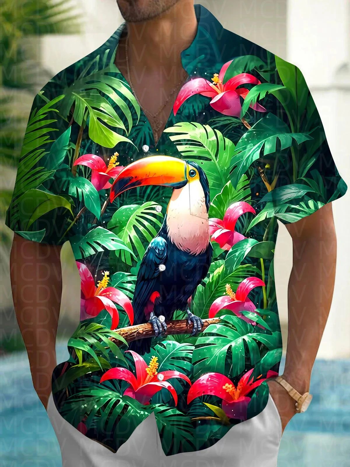 Balloon Pattern Men's Hawaiian - مراجعة Shirt Camp Collar وسعره